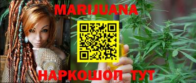 трава Гатчина
